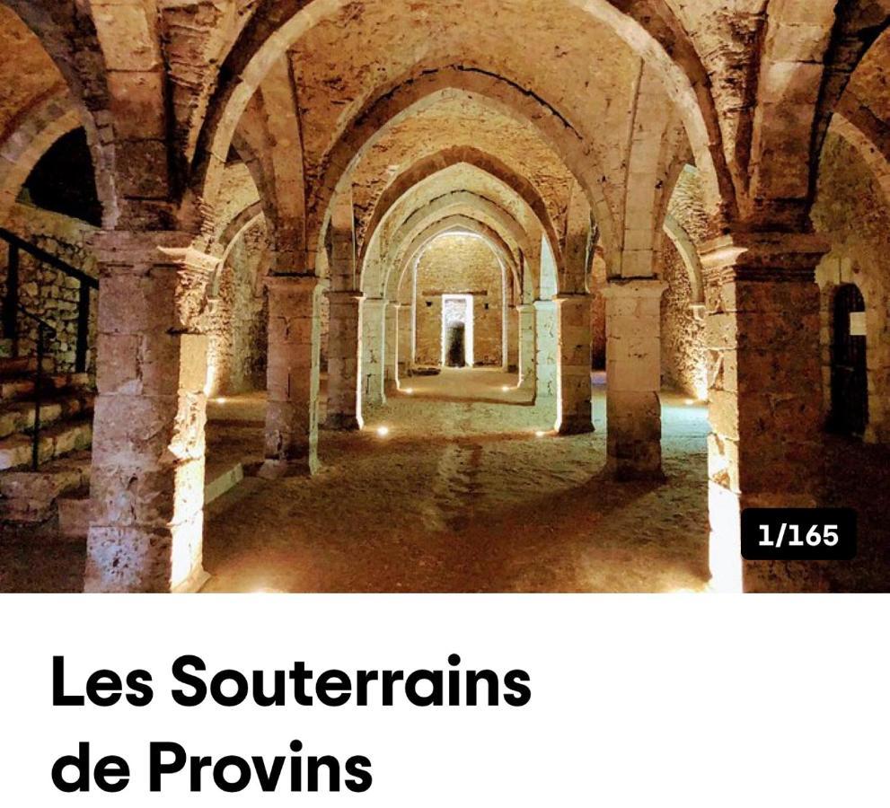 Harmonia Maison De Caractere Proche Provins Gouaix Eksteriør billede